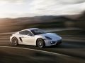 2013 Porsche Cayman (981c) - Teknik özellikler, Yakıt tüketimi, Boyutlar