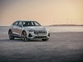 2020 Audi e-tron Sportback - Teknik özellikler, Yakıt tüketimi, Boyutlar