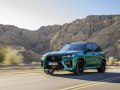 2024 BMW X5 M (F95 LCI, facelift 2023) - Teknik özellikler, Yakıt tüketimi, Boyutlar
