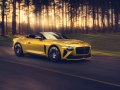 2021 Bentley Mulliner Bacalar - Teknik özellikler, Yakıt tüketimi, Boyutlar